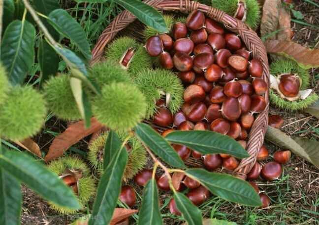 5bb0338e159c9.jpg QQ图片20180930102140.jpg