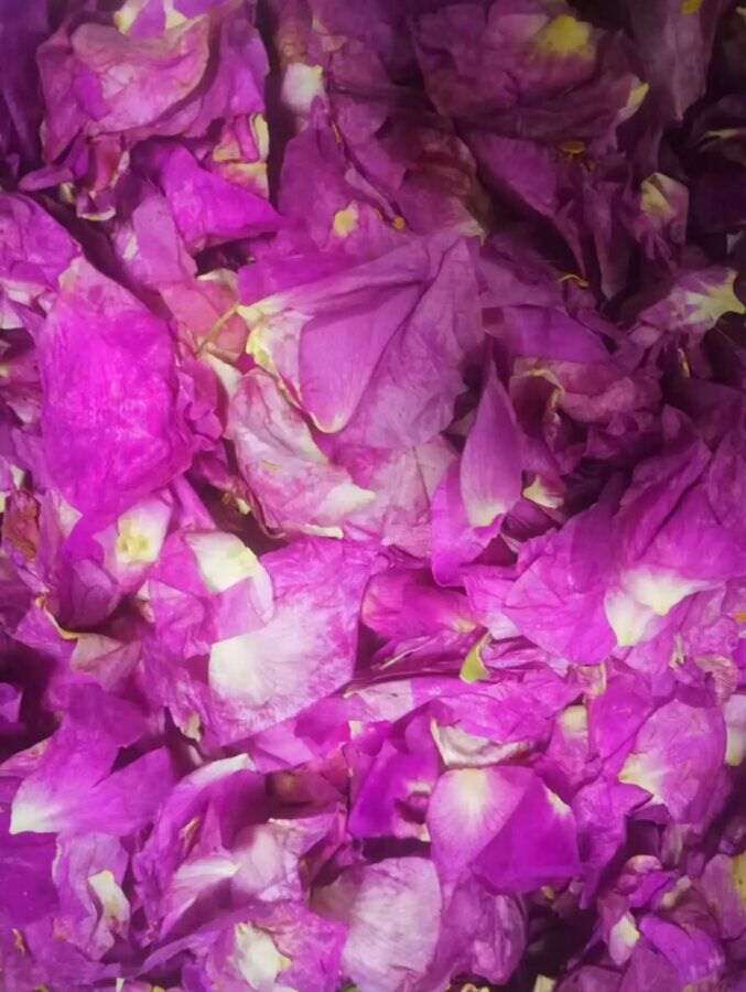 5c109d8c0c322.jpg QQ图片20181212132835.jpg