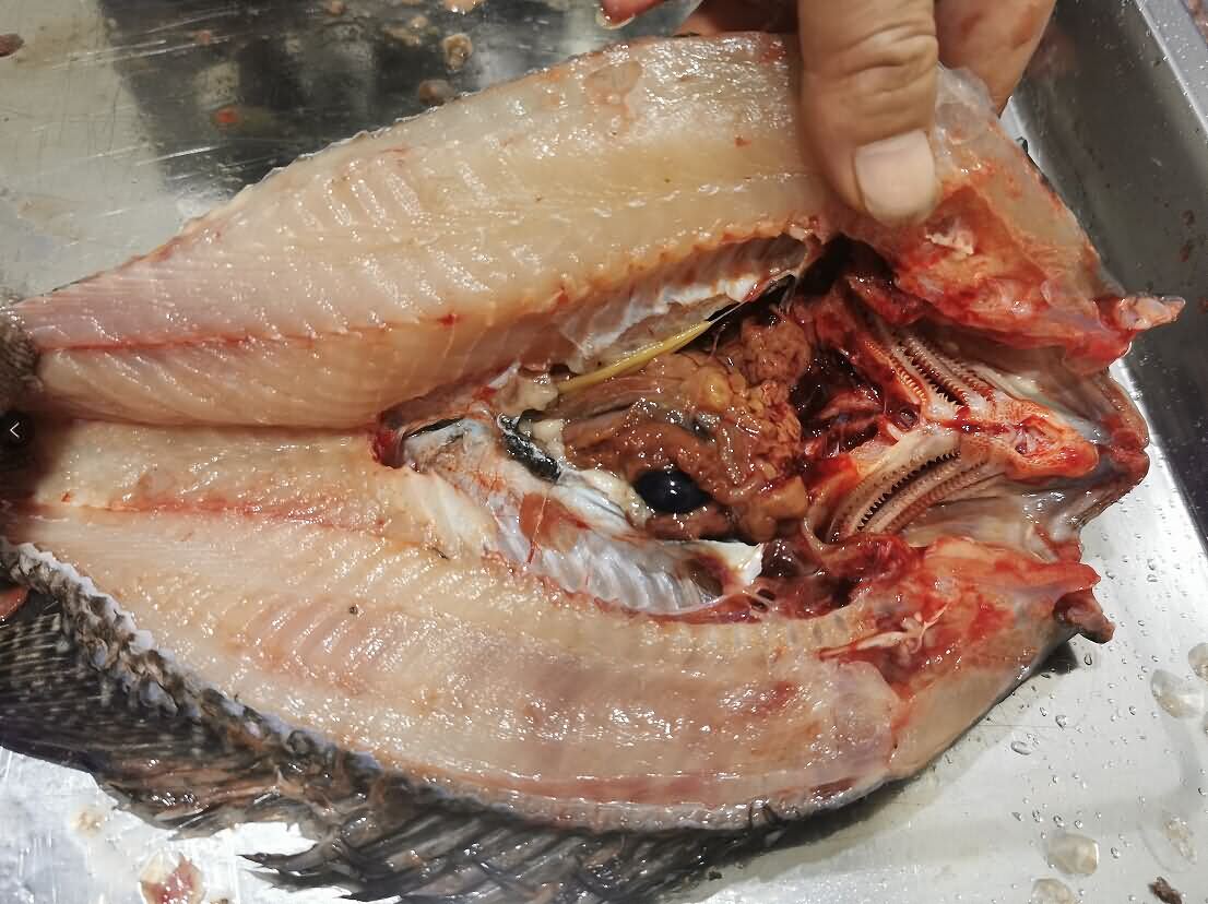 5dabb4444ee7f.jpg 5dabb4444ee7f.jpg