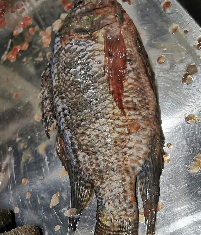 5dabb444a8182.jpg 5dabb444a8182.jpg