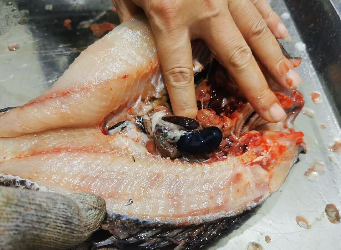 5dabb44504d2f.jpg 5dabb44504d2f.jpg