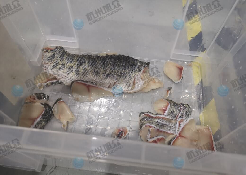 5db39ddfb3a1e.jpg 5db39ddfb3a1e.jpg