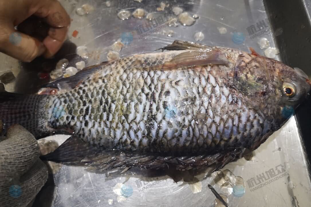 5db790511f248.jpg 5db790511f248.jpg