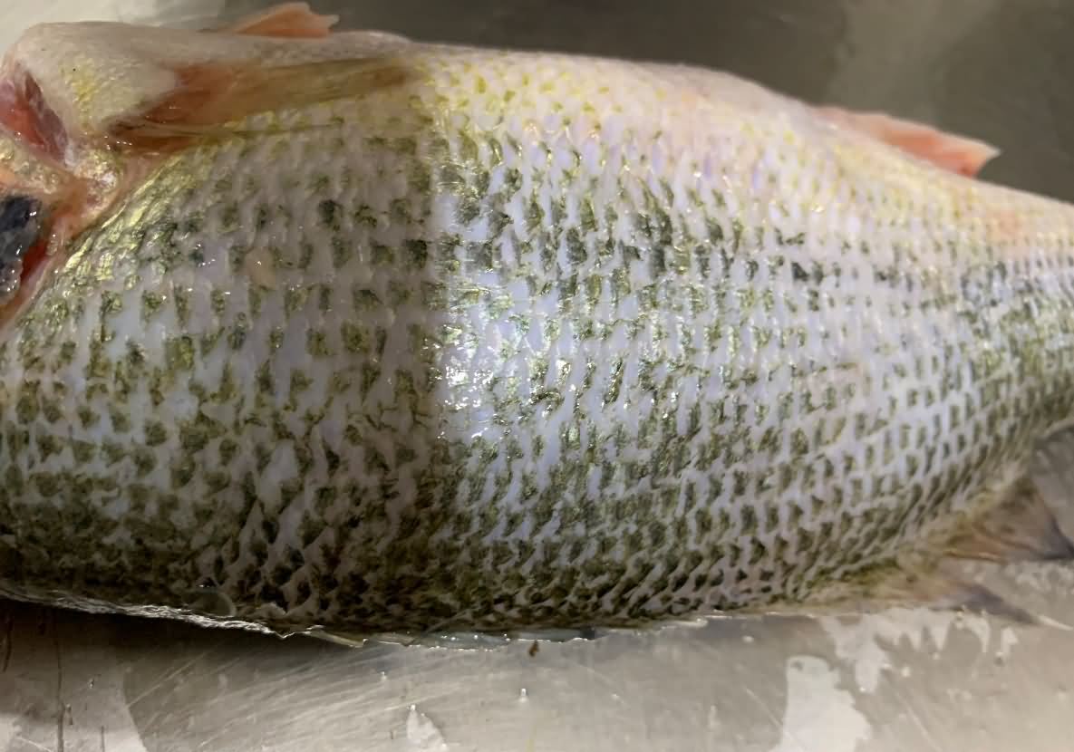 5de5bf412fa1f.jpg 5de5bf412fa1f.jpg