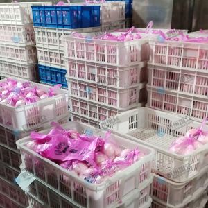 XZ-86包子机改光刀做豆沙包